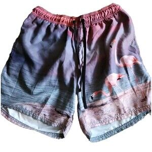 Pullin Pull-In Flamingo Board Shorts Swim Trunks With Liner SZ XL EUC